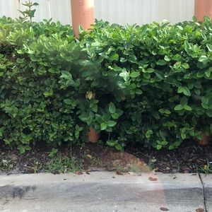 Meet your Posher, Shauna